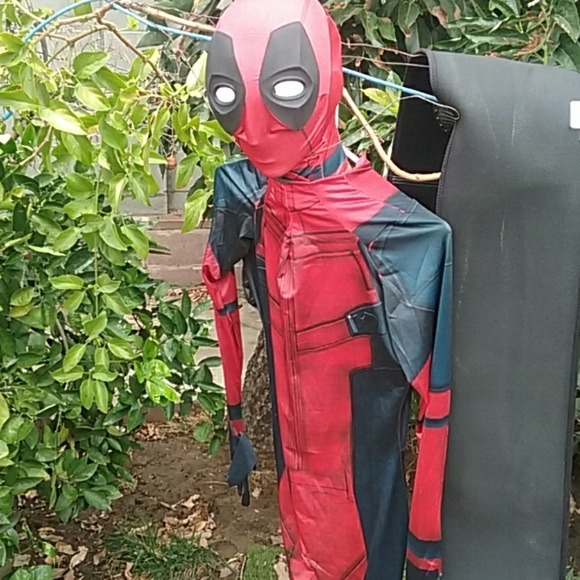 COSTUME - Picture 2 of 8